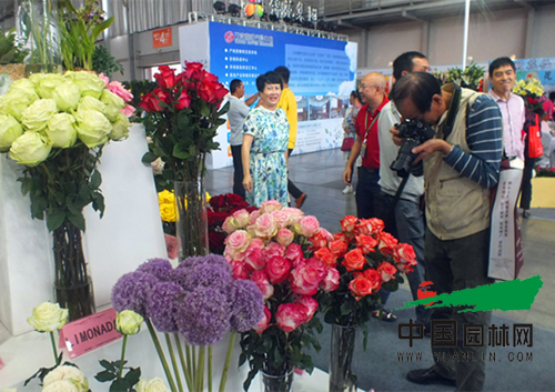 第十七屆昆明國(guó)際花卉展成功舉辦(圖6)