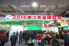 看展覽、嘗美食、囤年貨 2016浙江農博會