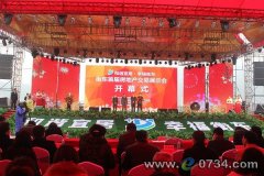 衡東首屆房交展會(huì)啟幕 26個(gè)品質(zhì)樓盤(pán)集中亮相
